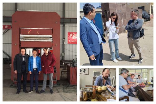 यूरोपीय ग्राहकों ने रबर मोल्डिंग वल्कनिंग मशीन खरीदी